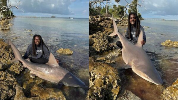 Rasheen Bailey Catches at Shark with Bare Hands Facebook Rasheen Bailey 600x338 AKv3vb