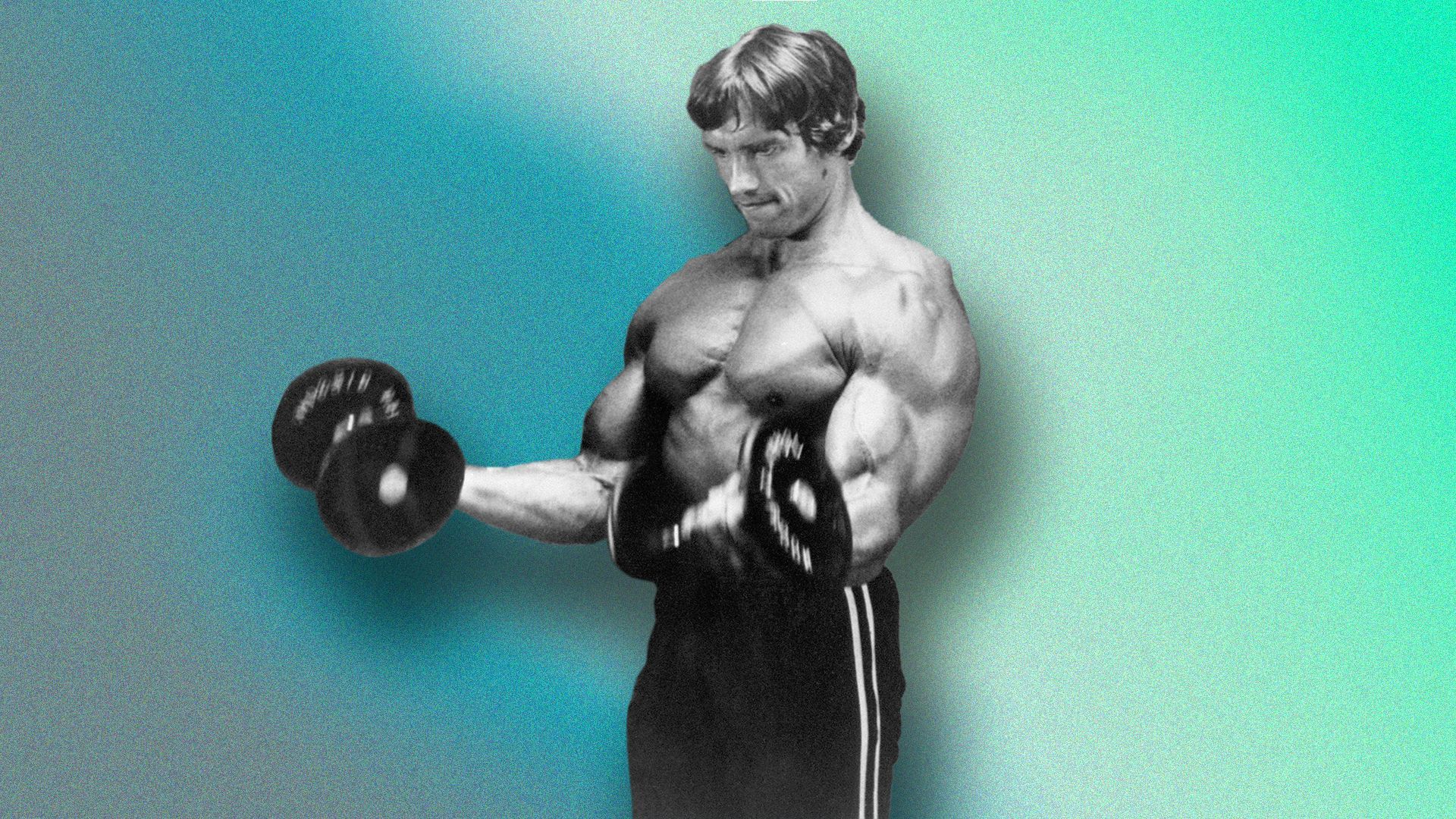 Arnie H8JGBu
