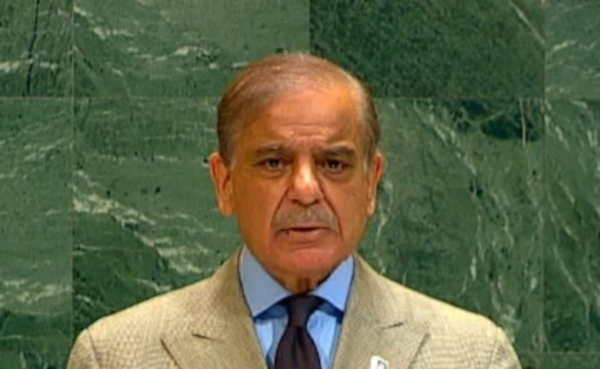 50ontqg8 shehbaz sharif 625x300 27 September 25 P5t710