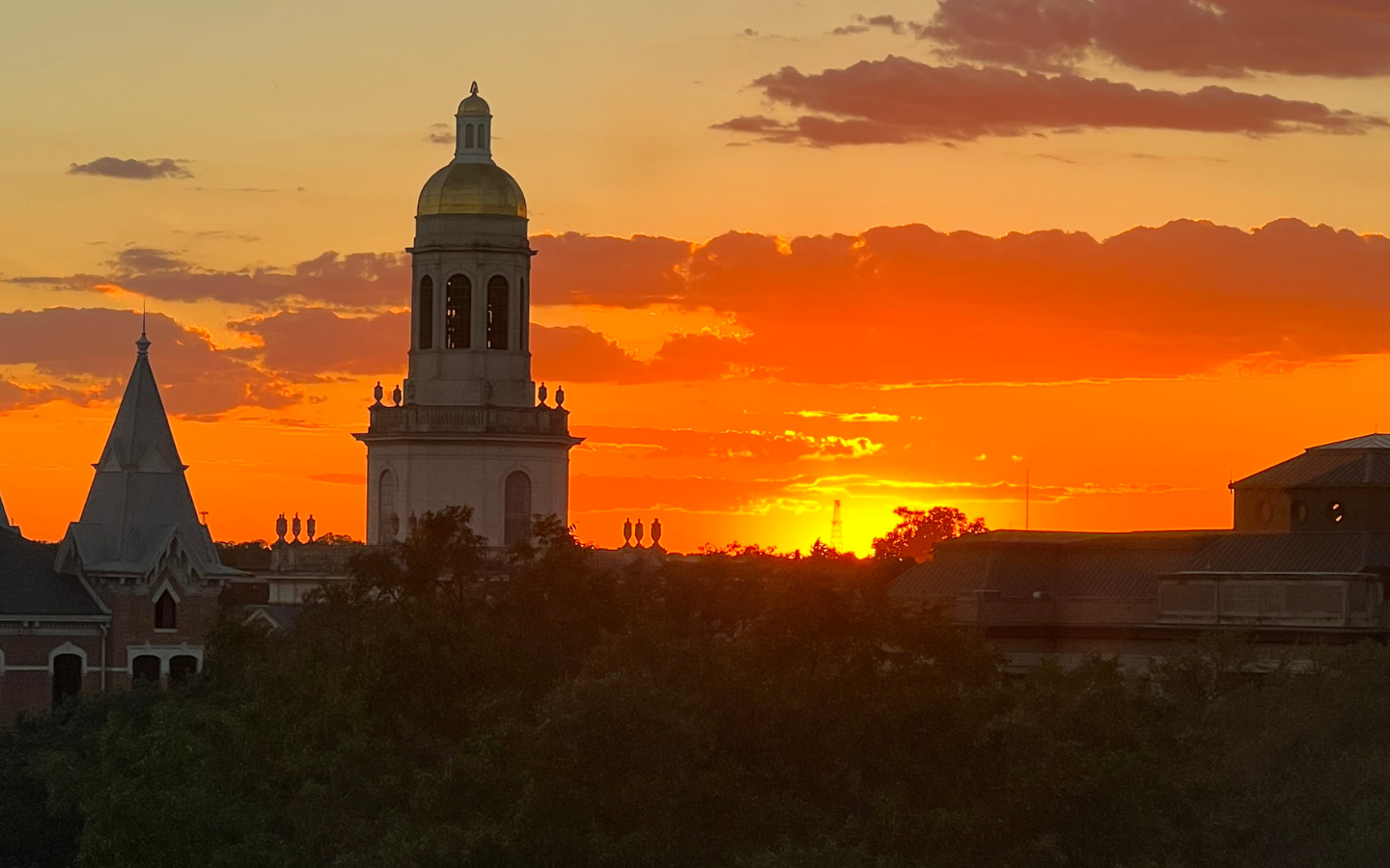 Baylor Summer Sun