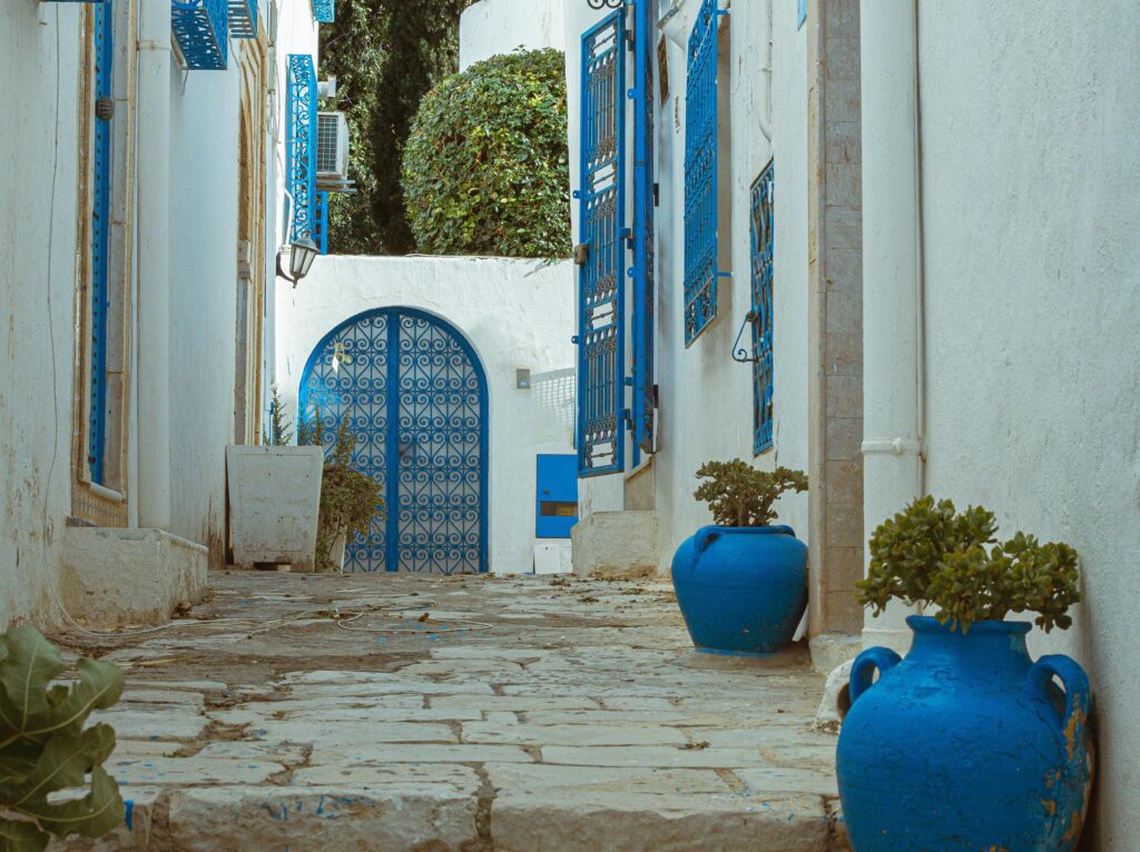 pexels mahmoud yahyaoui 29679525 1024x766