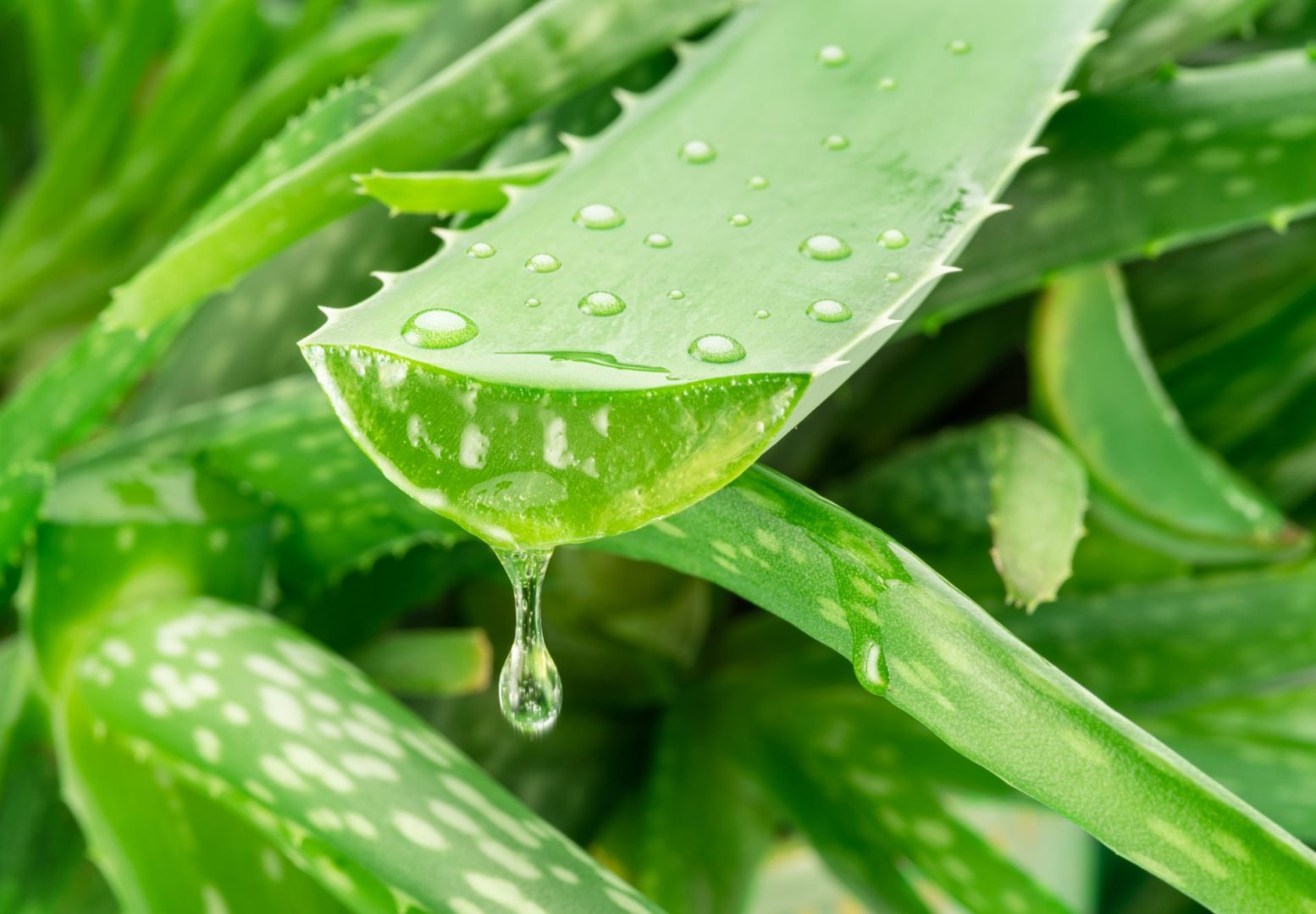 shutterstock 2500751939 scaled qZXQsc