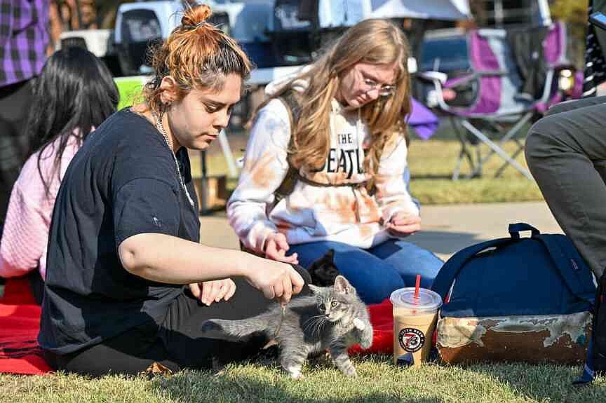 211176439 FS FEA CATS 003 t1200 JCNb43