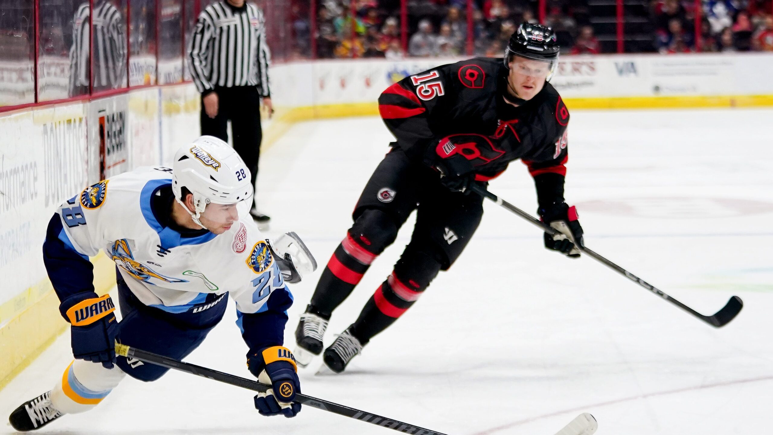 78138687007 cincinnati cyclones teddy bear toss 17360 7AggOV scaled