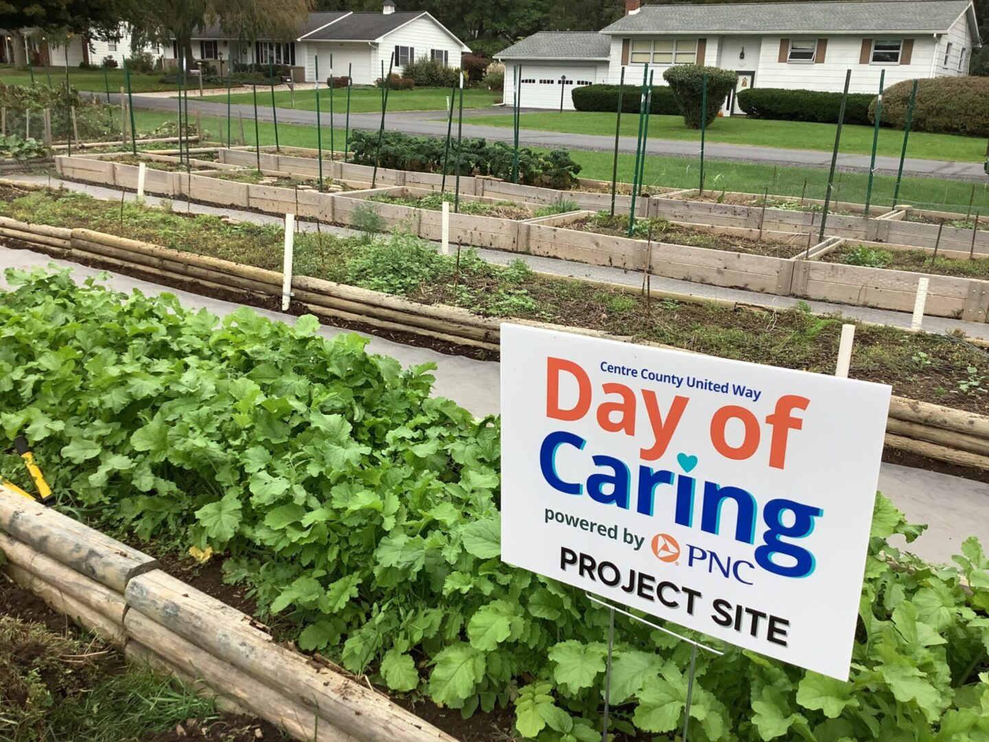 Day of Caring Giving Garden.3 scaled