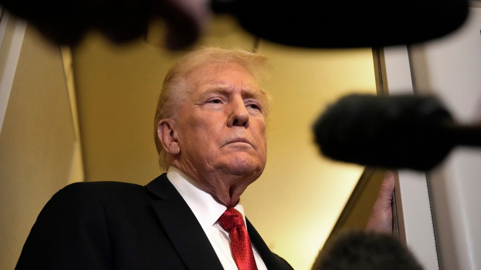 Donald Trump AnnPIz