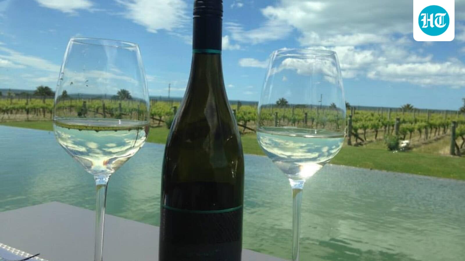 Vineyards in India 1760004434122 1760004471399