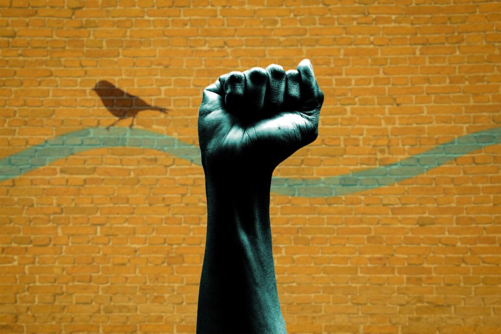 We Stood Up 1024x683 mp1MzY