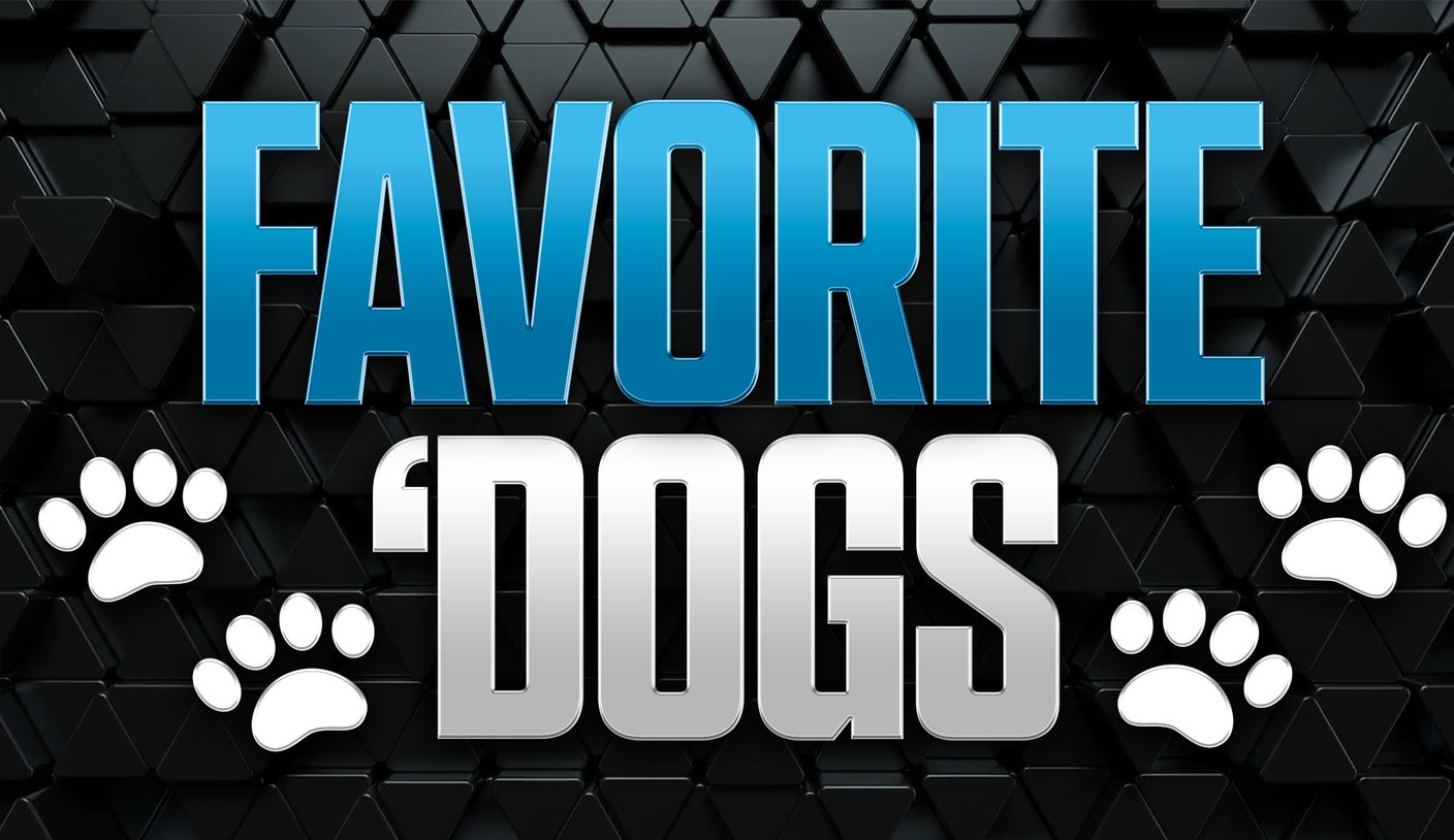 favorite dogs1 Jmy2Hs