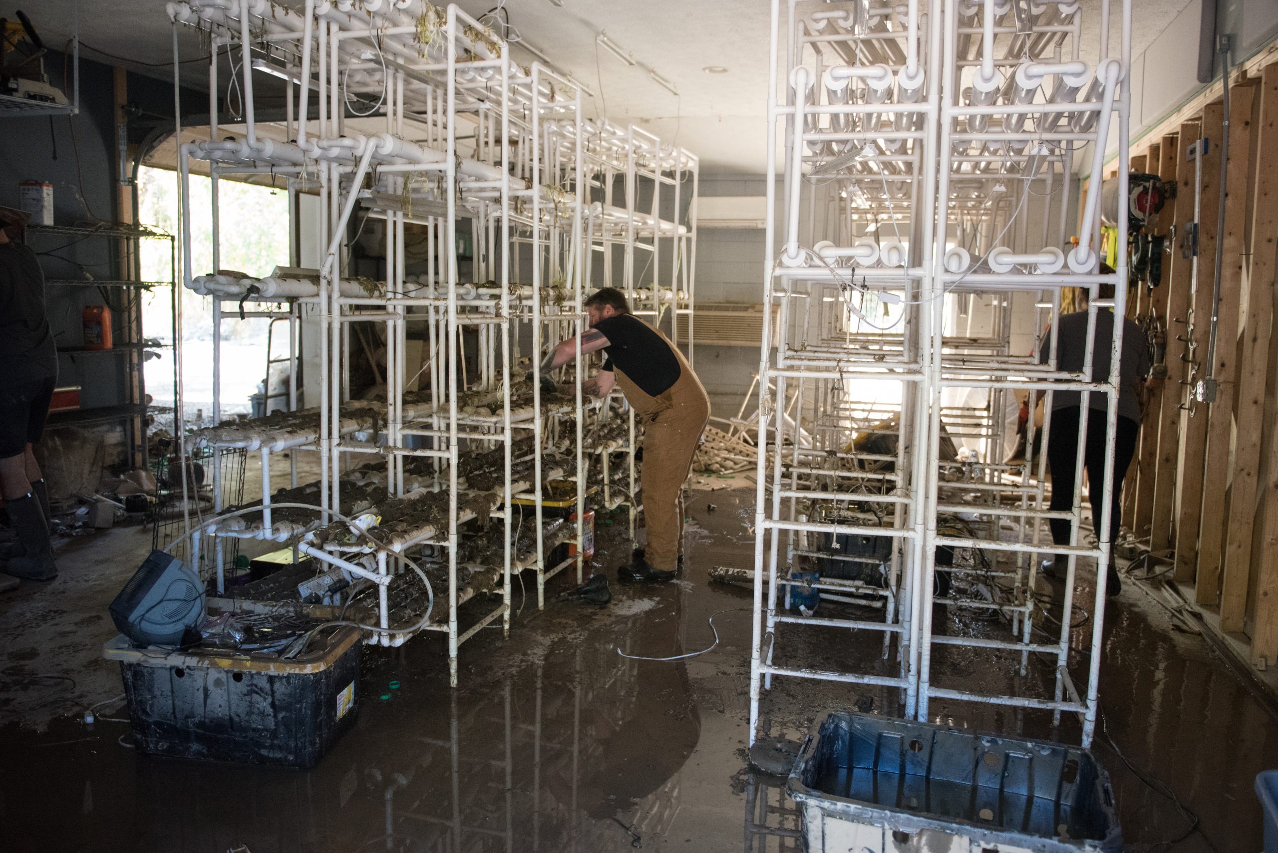 flooded hydroponics at Stump Farms photo by Camilla Calnan photography scaled WD8cvn