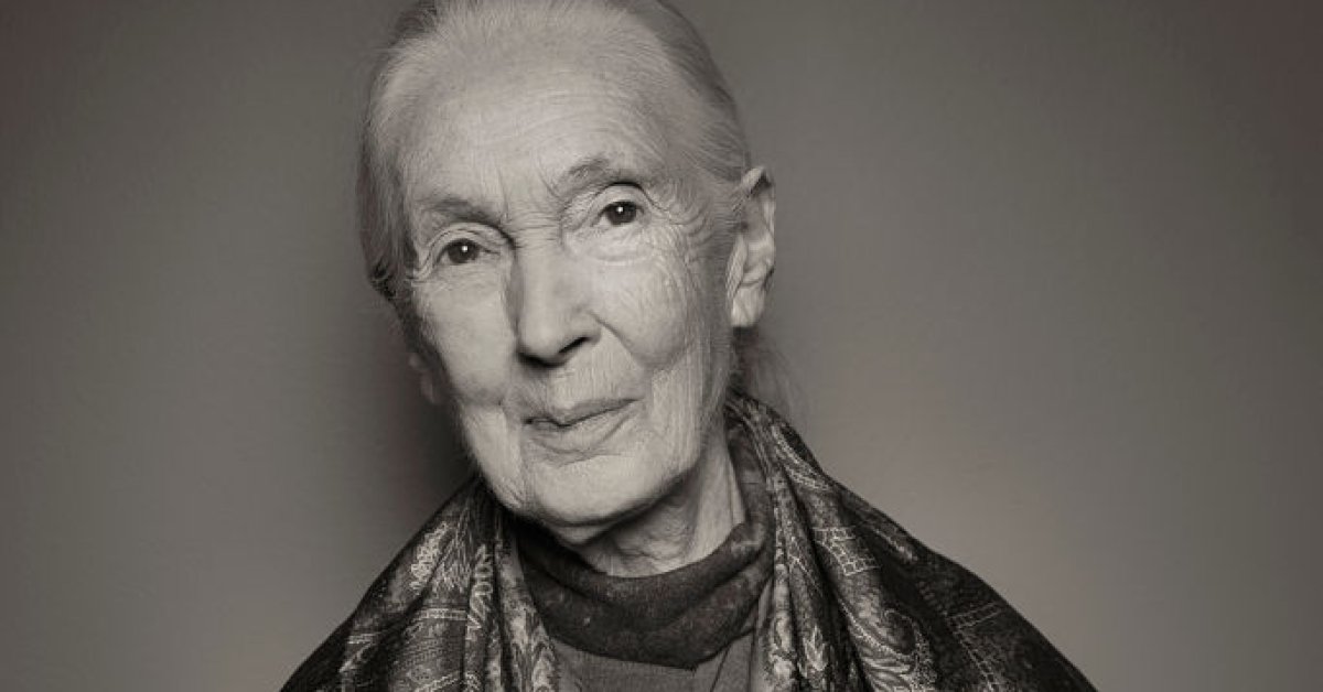 jane goodall lXX9Gt