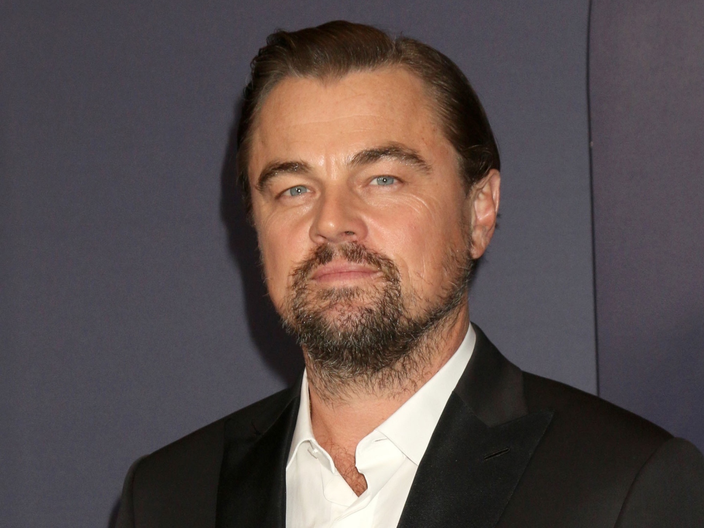 leonardo dicaprio n2ToED