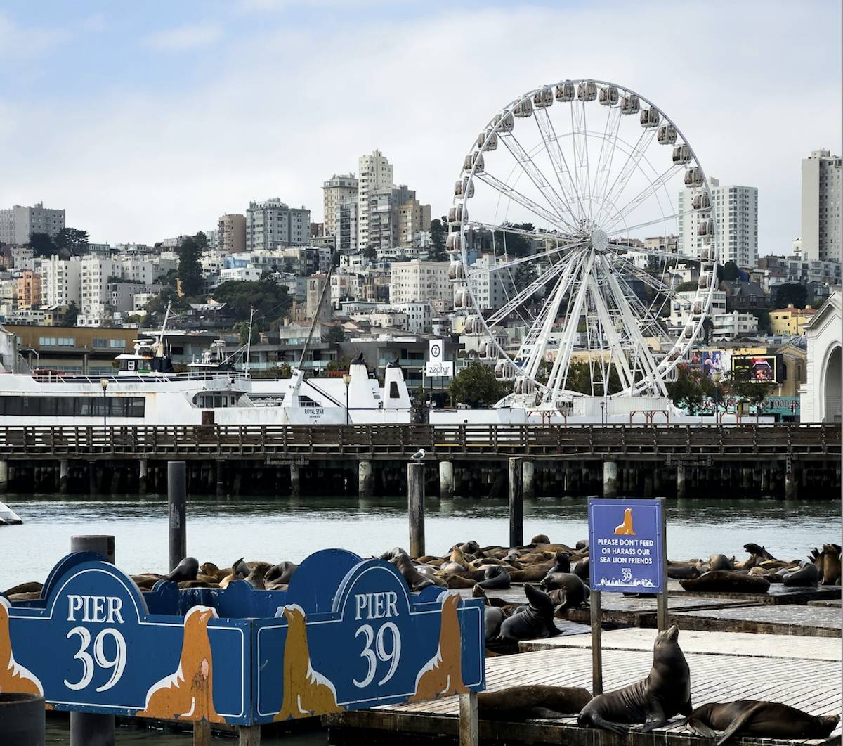 pier 39 KJkYy0