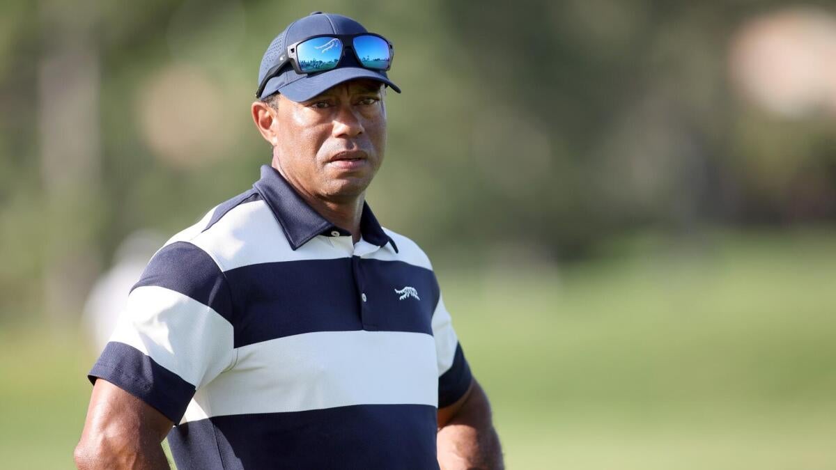 tiger woods 034dbE