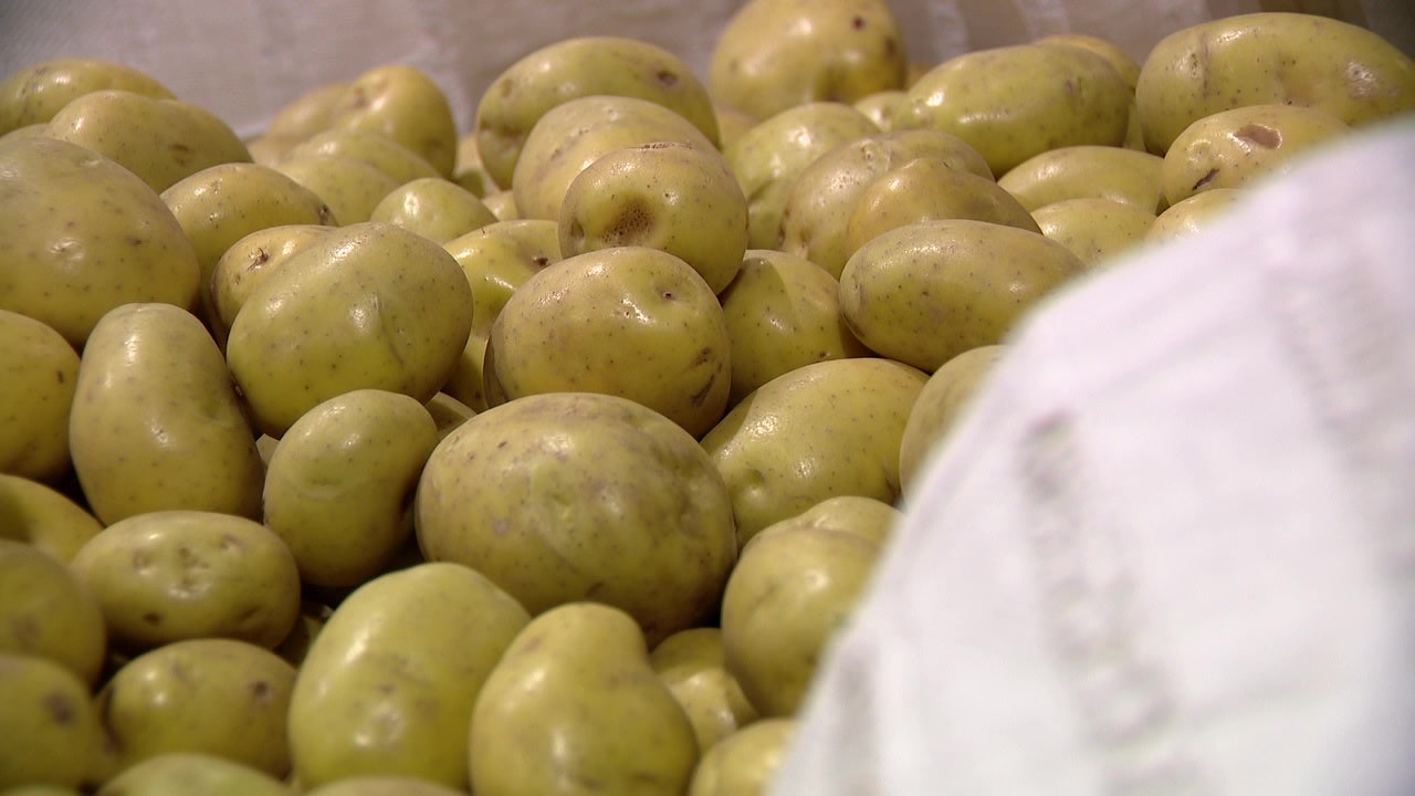 washington potatoes PPDG5e